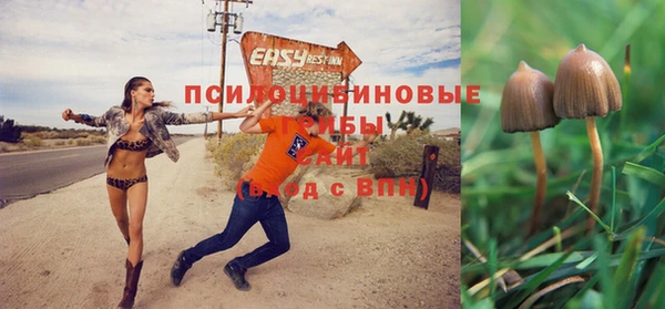 гидра Абинск