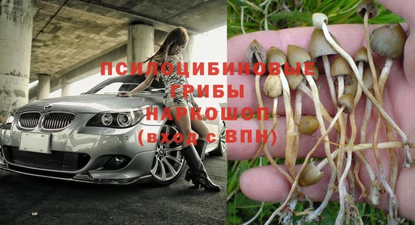 гидра Абинск