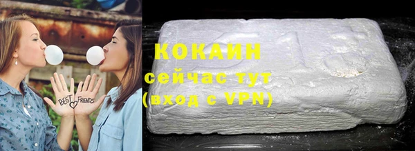 тгк Абаза