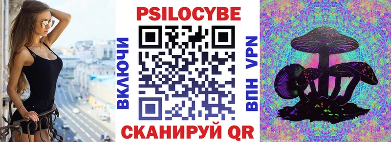 Галлюциногенные грибы Psilocybe Туран