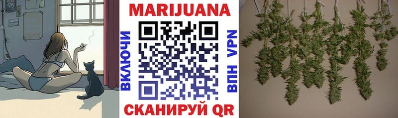 Конопля план  Туран 